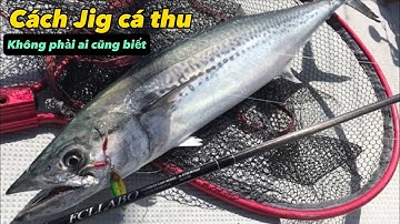 Kỹ thuật Jigging Cá Thu không phải ai cũng biết. Người mới cũng dễ dàng lên cá | GĐCT