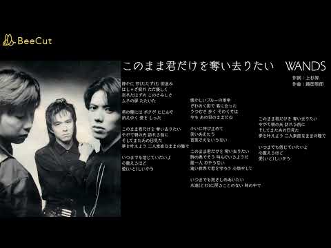 このまま君だけを奪い去りたい　WANDS　Cover　カバー　DEEN