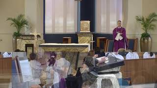 Sunday (11:00 a.m. Mass)