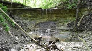 Does Anyone Have Any Ideas???? Someone Said Cyptid, What Are Your Thoughts???