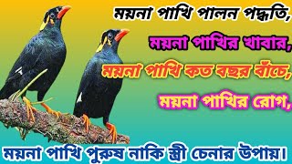 ময়না পাখি পালন পদ্ধতি।ময়না পাখির খাবার।Method of rearing of dead birds