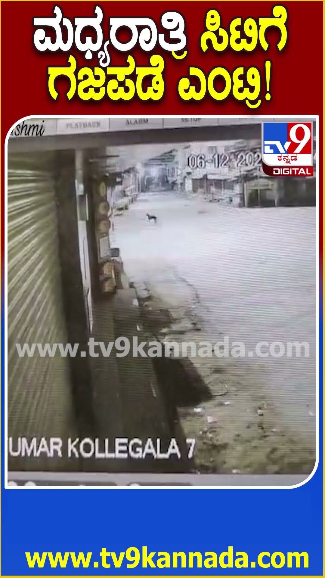 ಮಧ್ಯರಾತ್ರಿ ಸಿಟಿಗೆ ಗಜಪಡೆ ಎಂಟ್ರಿ! #Elephant #Tv9D