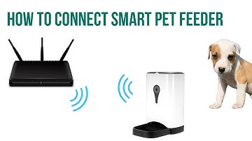 Connecting Smart Pet Feeder by FEED