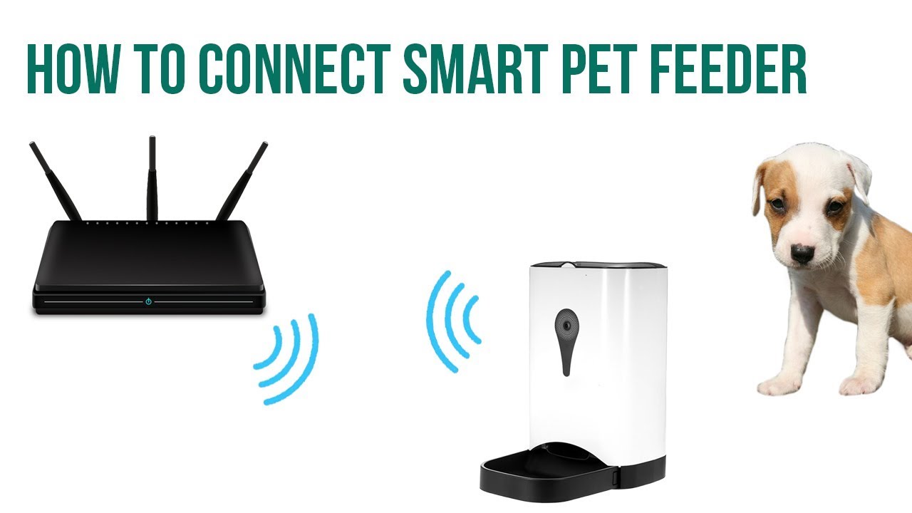 feedem pet feeder