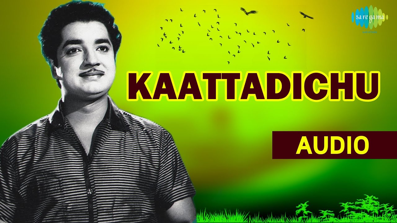 Kaattadichu Audio song  Malayalam song  Thulabaram