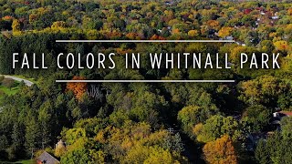 Fall Colors in Whitnall Park