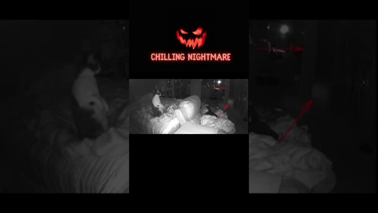 Katze reagiert auf GEIST? | Unheimliche Videos #32