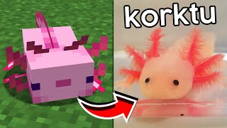 Minecraft'taki Axolot'u Kardeşime Gerçek Hayatta Aldım!