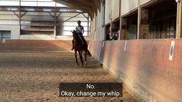 Flying Changes on the Short Diagonal with Freddy 1