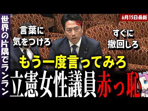 【小泉進次郎】立憲の女性議員が大失言！！！小泉大臣ブチギレ！！！【参院決算委員会 2026年6月15日】