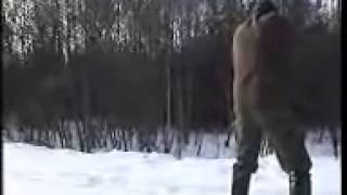 охота на дикого секача в загоне охота на дикого секача в загоне
