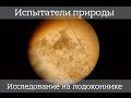 Испытатели природы: Исследование на подоконнике!