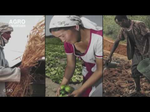 Video: BioTour: Călătorie într-un Viitor Durabil - Rețeaua Matador