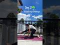Day 17/30 -2026 International Yoga Day Celebrations #yoga #yogalife #yogaforbeginner #challenge