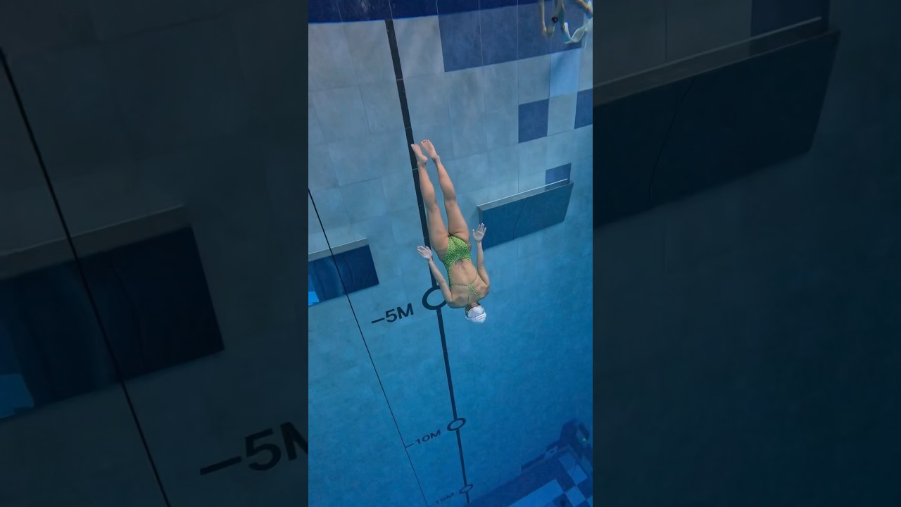 수영과 프리다이빙의 관계