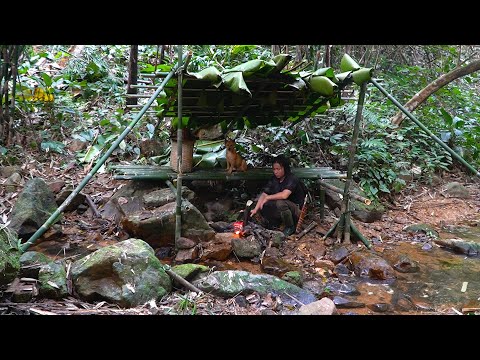 Make a Temporary Shelter, Catching Snails and Cooking: Survival Alone | EP.129