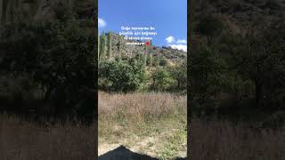 Muhteşem Doğa Manzarası