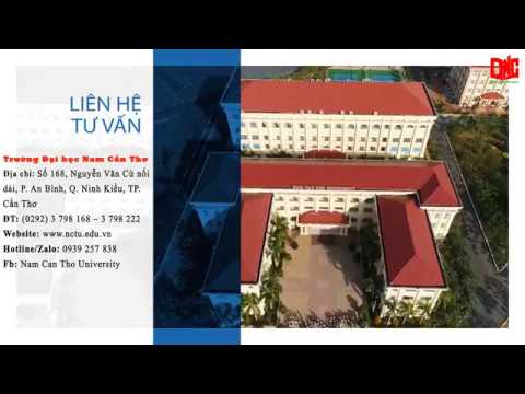 NGÀNH KIẾN TRÚC | TRƯỜNG ĐẠI HỌC NAM CẦN THƠ - youtube