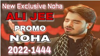 Ali Jee Noha 2022 New Noha 2022-2023 Nadeem Sarwar 2022-2023