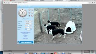 Webrelay Test Bys