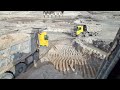 Volvo 480 excavator send Digging and Volvo truck460 front loading