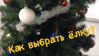 Как выбрать ёлку.Новогодние советы.