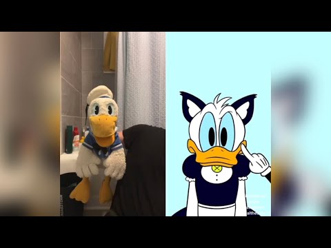 Donald Ducc TikToks That Will Make You LAUGH! 2 (DONT LAUGH CHALLENGE)