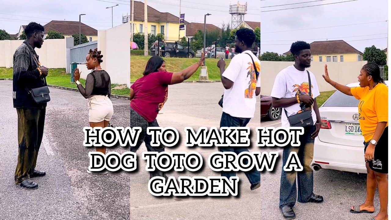 PLEASE CAN I BARB YOUR TOTO HAIR 🙏 #toto #shorts #shortvideo #short #funny #numbers