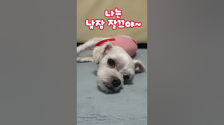 회사 가기 너무 싫은 댕댕이는 귀를 닫아버려요.  [귀엽고 재미있는 동물농장] Animal enjoy. Cute Puppy. #댕댕이 #귀여운  #tv동물농장 #애니멀봐
