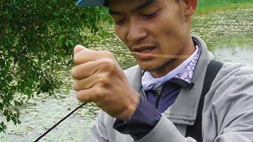 câu cá lóc ngày mưa bão