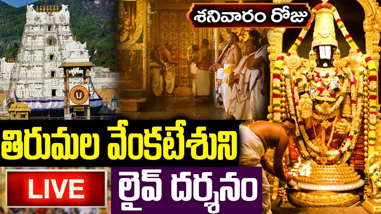 LIVE: శనివారం తిరుమల వెంకటేశుని లైవ్ దర్శనం | Tirumala Tirupati  Venkateswara Live Darshan