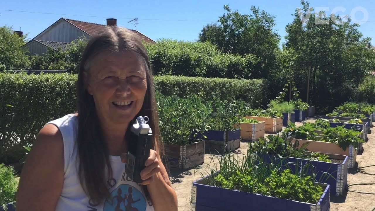 Odlingsinspiration: Vi besöker Ullas fantastiska ätbara trädgård