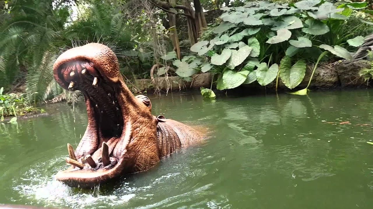 disneyland hong kong jungle river cruise