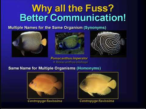 An Introduction toTaxonomic Names of Organisms