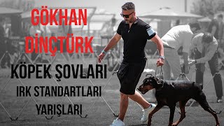 Köpek Şovları (Irk Standartları Yarışmaları)