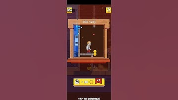 Home Pin Level 171 Walkthrough