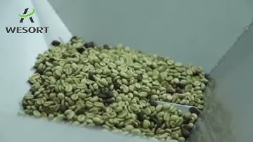 𝐂𝐨𝐟𝐟𝐞𝐞 𝐁𝐞𝐚𝐧 𝐂𝐨𝐥𝐨𝐫 𝐒𝐨𝐫𝐭𝐞𝐫