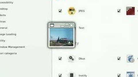 MPlayer + CompizFusion + VideoPlayback