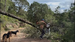 ¡Ya liberamos la carretera! Gracias a Felipe la flecha de las 8 sí podrá pasar 