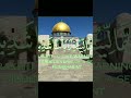قريبا سوف نلتقي هناك العرب قرآن فلسطين لا إله إلا الله محمد رسول الله مسجد 