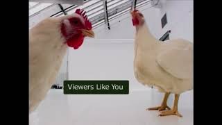 Egg: The Arts Show | Season 2 (2001-2002) | Funding Credits