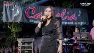 CAMELIA MUSIC - CRYING WITHOUT TEARS - RIA ANDIKA - WEDDING WILDAN & JANNAH - WEDUSAN DUKUHSETI PATI