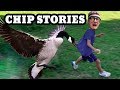 Funny chip stories ymca kittens goose chase 71 yr old teacher llamars shoo fly pie mother