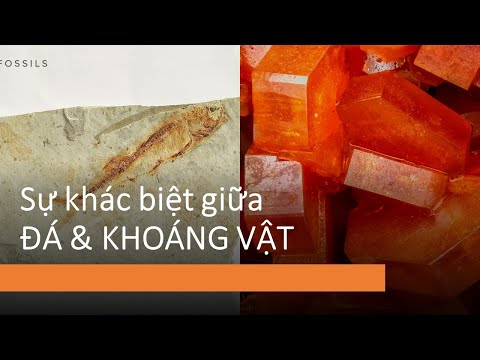 Video: Tại sao các khoáng chất có hình dạng tinh thể khác nhau?