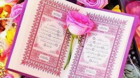 ماتيسر من سورة النور مع القارئ معاذ السعدوني