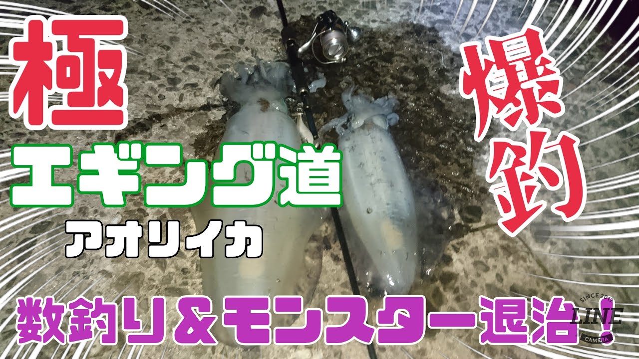 サラリーマンtakaの気まぐれ釣行時々 サラリーマンtakaの気まぐれ釣行時々