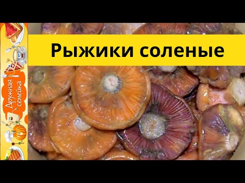 Рыжики соленые холодным способом