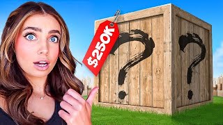 I spent $250,000 on amazon mystery boxes