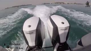 cuttlefish in gassar jarada - Bahrain خثاق في قصار جراده البحرين