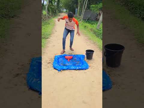 শিং মাছ দেখে গাড়ি নিয়ে গেল